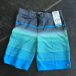 Billabong Striped Blue and Gray Board Shorts
